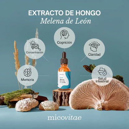 Pack Bienestar Integral | Focus + Vitaliza + Relax + Regenera