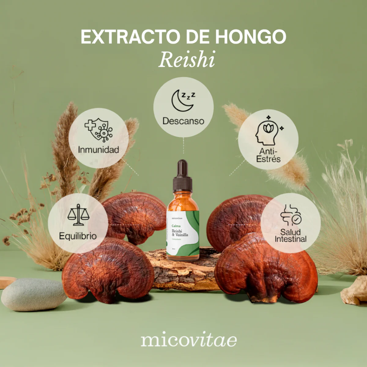 Pack Bienestar Integral | Focus + Vitaliza + Relax + Regenera