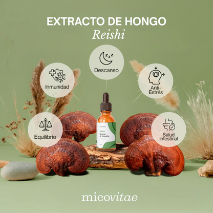 Pack Bienestar Integral | Focus + Vitaliza + Relax + Regenera