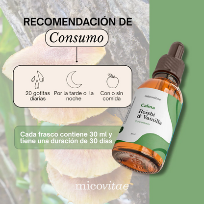 Relax | Extracto de Reishi