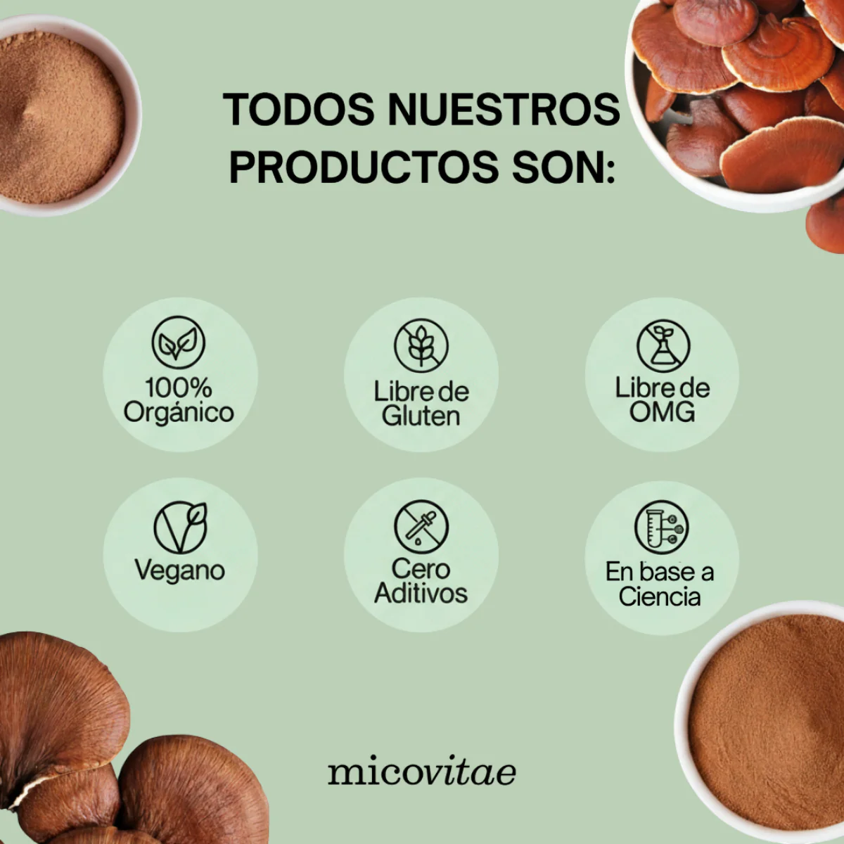Relax | Extracto de Reishi