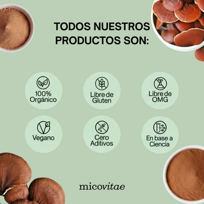 Relax | Extracto de Reishi