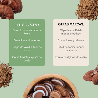 Relax | Extracto de Reishi