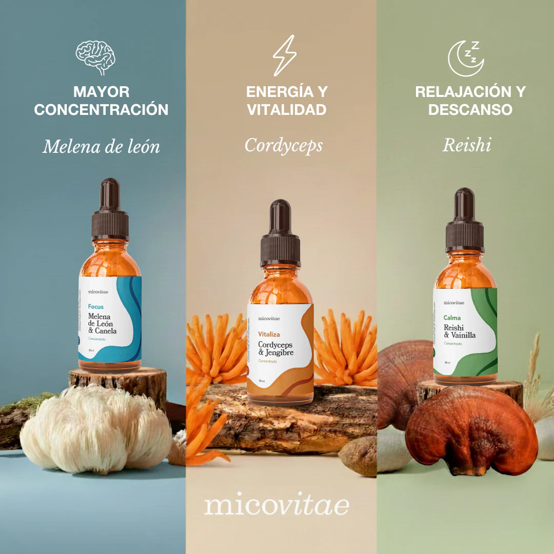Tripack | Focus + Relax + Vitaliza