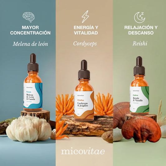 Tripack | Focus + Relax + Vitaliza