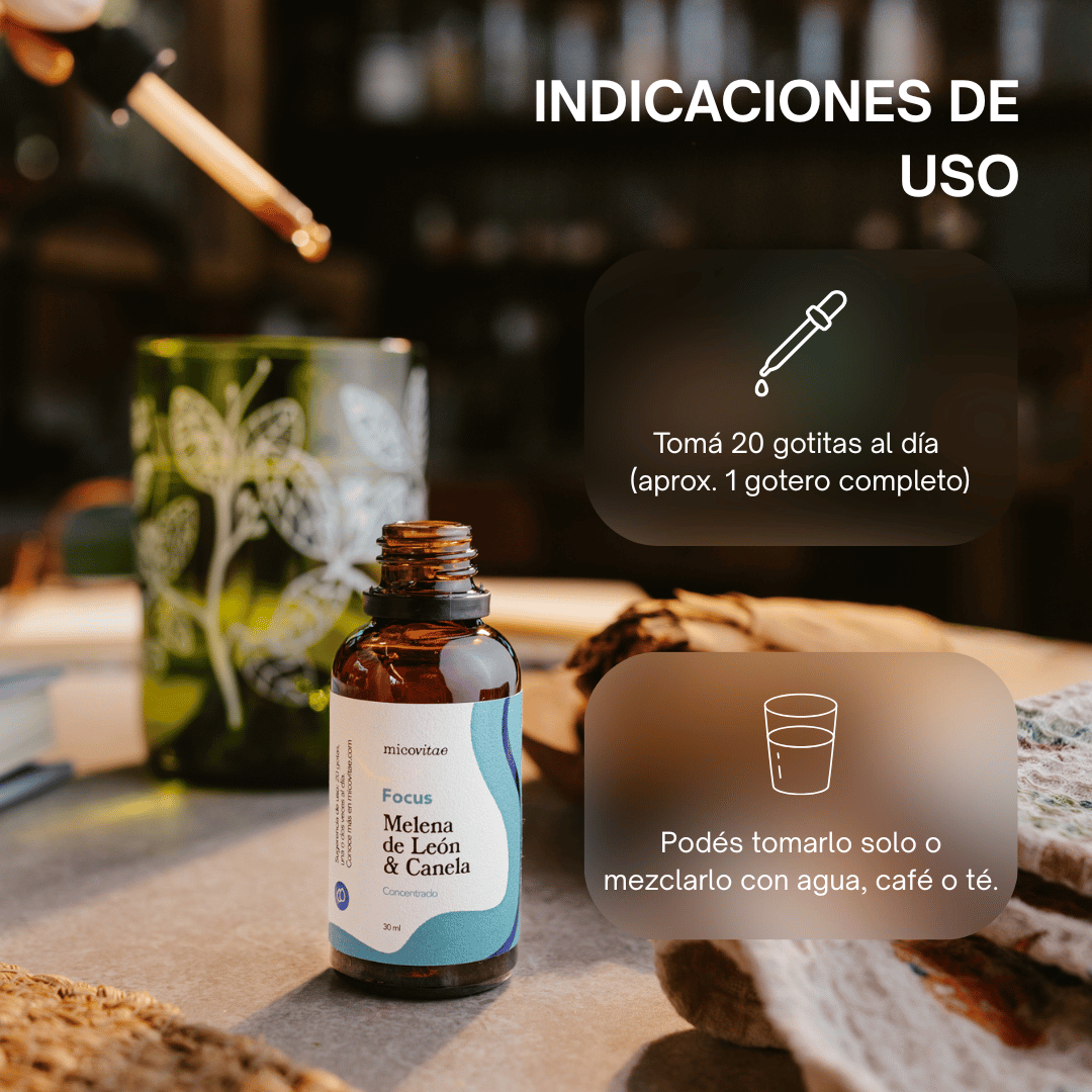 Focus | Extracto de Melena de León