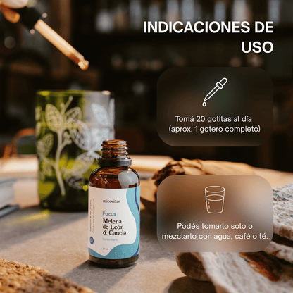 Focus | Extracto de Melena de León