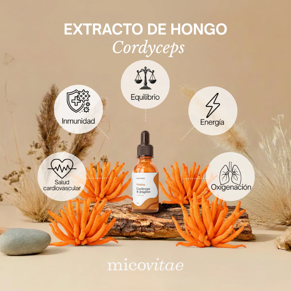 Tripack | Focus + Relax + Vitaliza