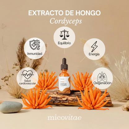 Tripack | Focus + Relax + Vitaliza