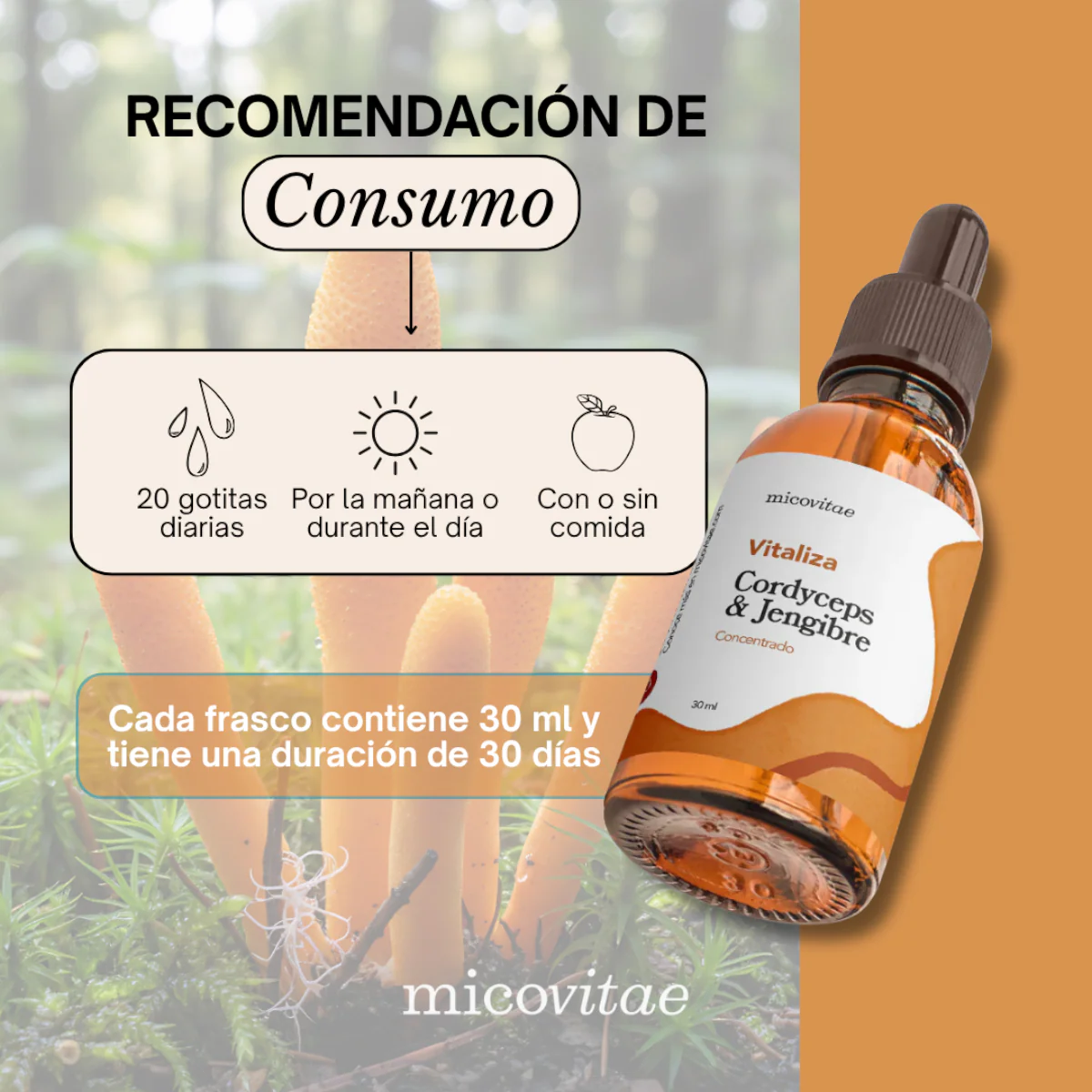Vitaliza | Extracto de Cordyceps