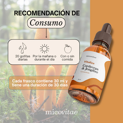 Vitaliza | Extracto de Cordyceps