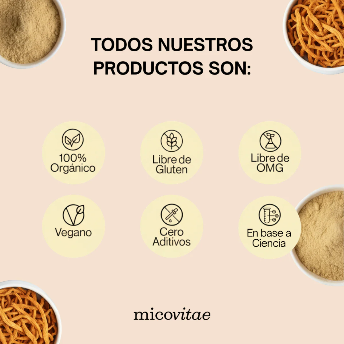 Vitaliza | Extracto de Cordyceps