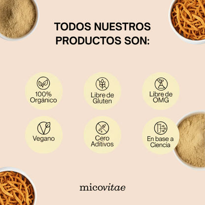 Vitaliza | Extracto de Cordyceps