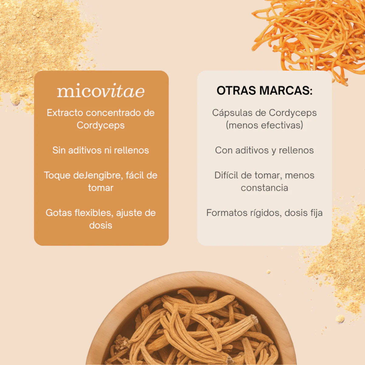 Vitaliza | Extracto de Cordyceps