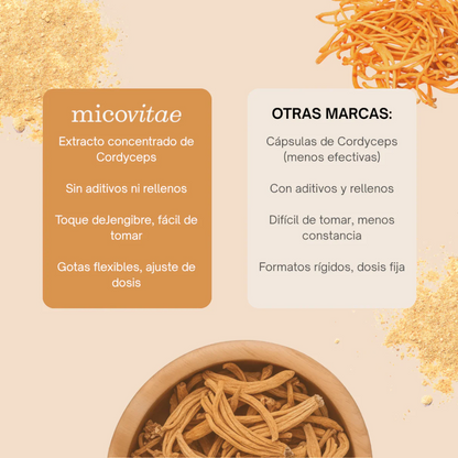 Vitaliza | Extracto de Cordyceps